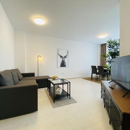 Charming Flat In Brasov With Balcony Panoramic View Apartman Kültér fotó